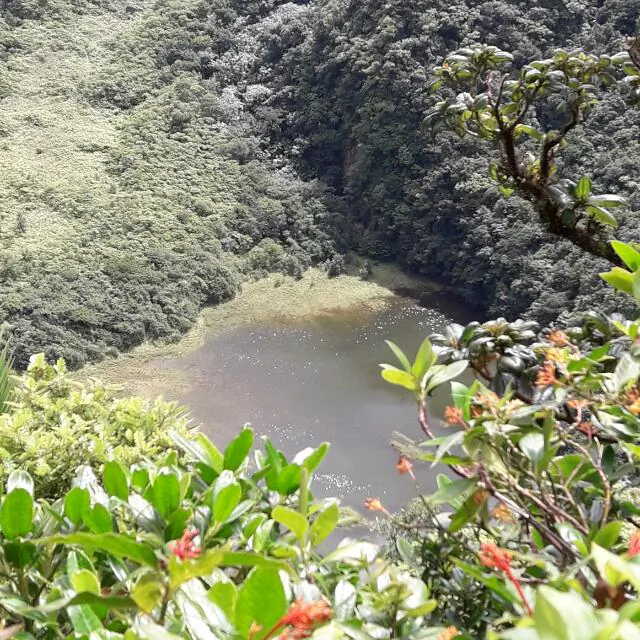 Green interior slopes of Mount Liamuiga in St Kitts