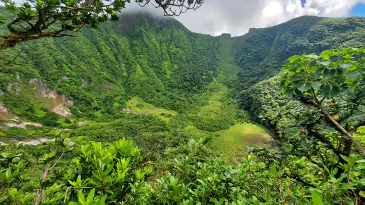 Tropical volcano rising above green forest